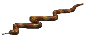 snake