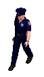 cop